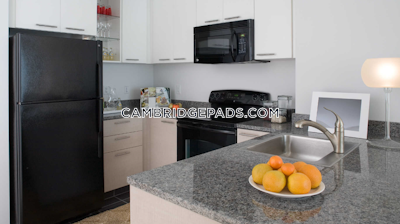 Cambridge Stunning Studio 1 Bath  Kendall Square - $2,961 No Fee