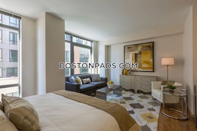 West End 2 bedroom  baths Luxury in BOSTON Boston - $5,940