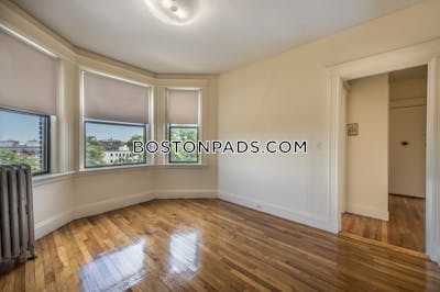 Allston Apartment for rent Studio 1 Bath Boston - $2,500